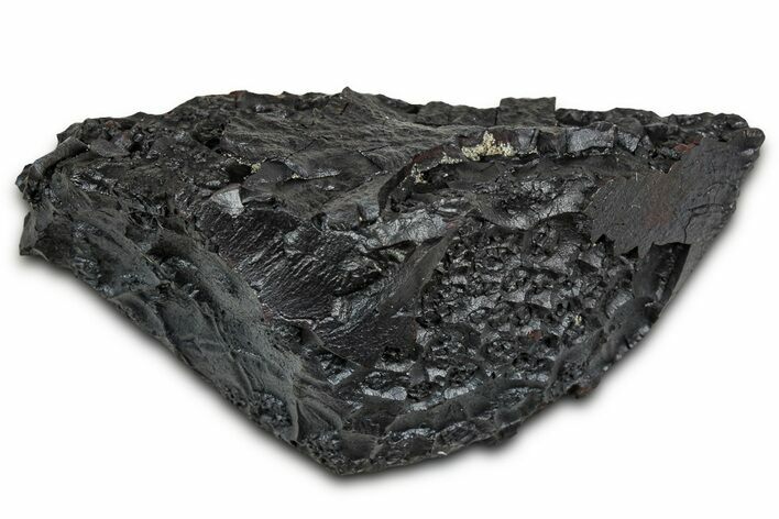 Dragon Scale Stone (Iron, Manganese, Siderite Nodule) #330282